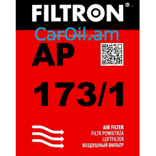 Filtron AP 173/1